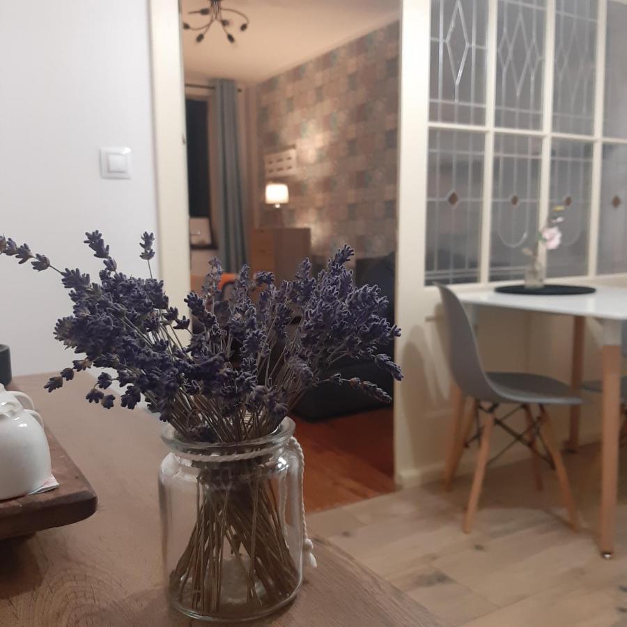 Apartman U Javoru Varnsdorf Ngoại thất bức ảnh
